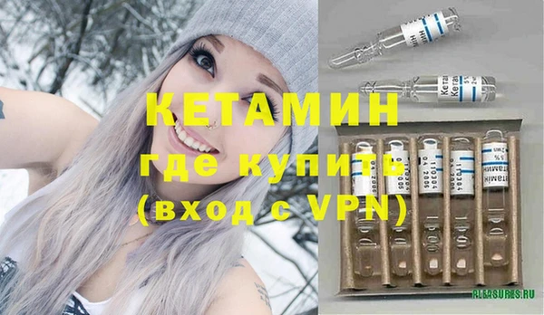 сатива Абинск