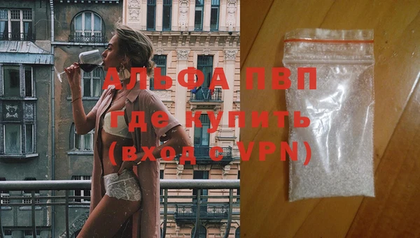 сатива Абинск
