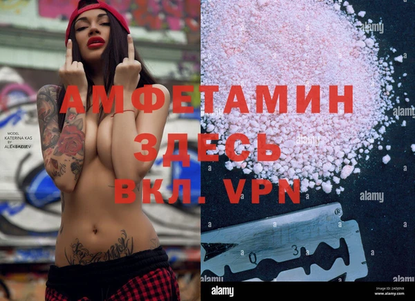 сатива Абинск
