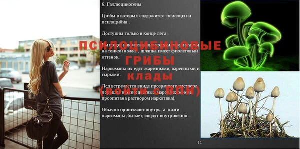 сатива Абинск