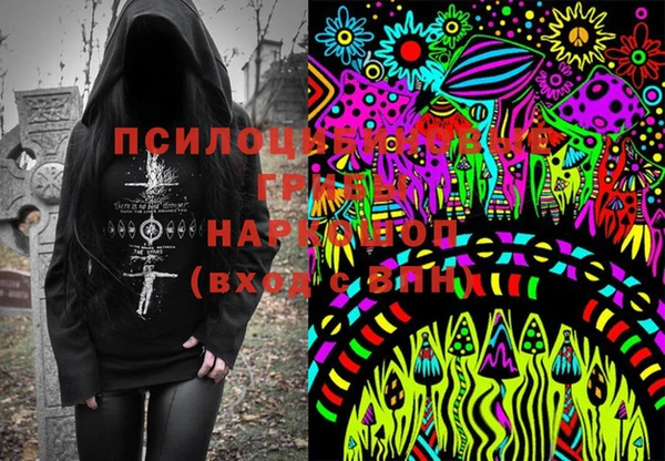сатива Абинск